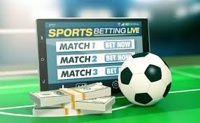 The Ultimate Guide to 1xBet Your Winning Opportunities