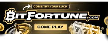 Exploring How to Navigate Bitfortune Live Crypto Casino