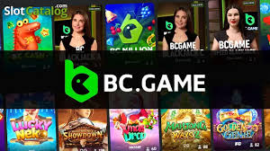 Everything You Need to Know A Comprehensive Guide