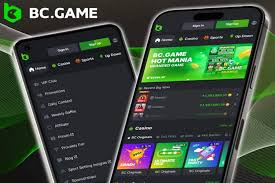 In-Depth BC App Reviews Unveiling Features and User Experiences